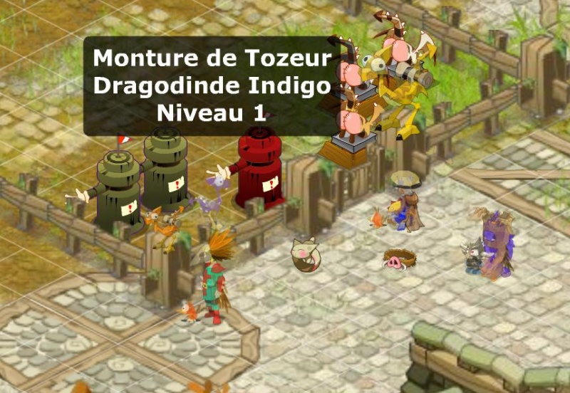 Fichier:Elevagetozeur.jpg
